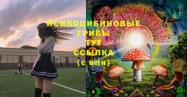 mix Богородицк