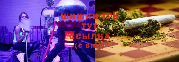 mix Богородицк